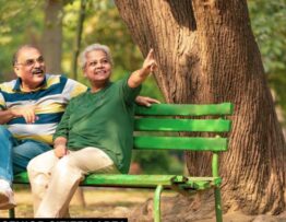 sENIOR CITIZEN AREA IN IPL HOME